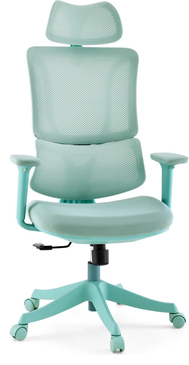 Bureaustoel / Draaistoel Ergomy Colore 3D netstof / Zitting stof salie mybuero