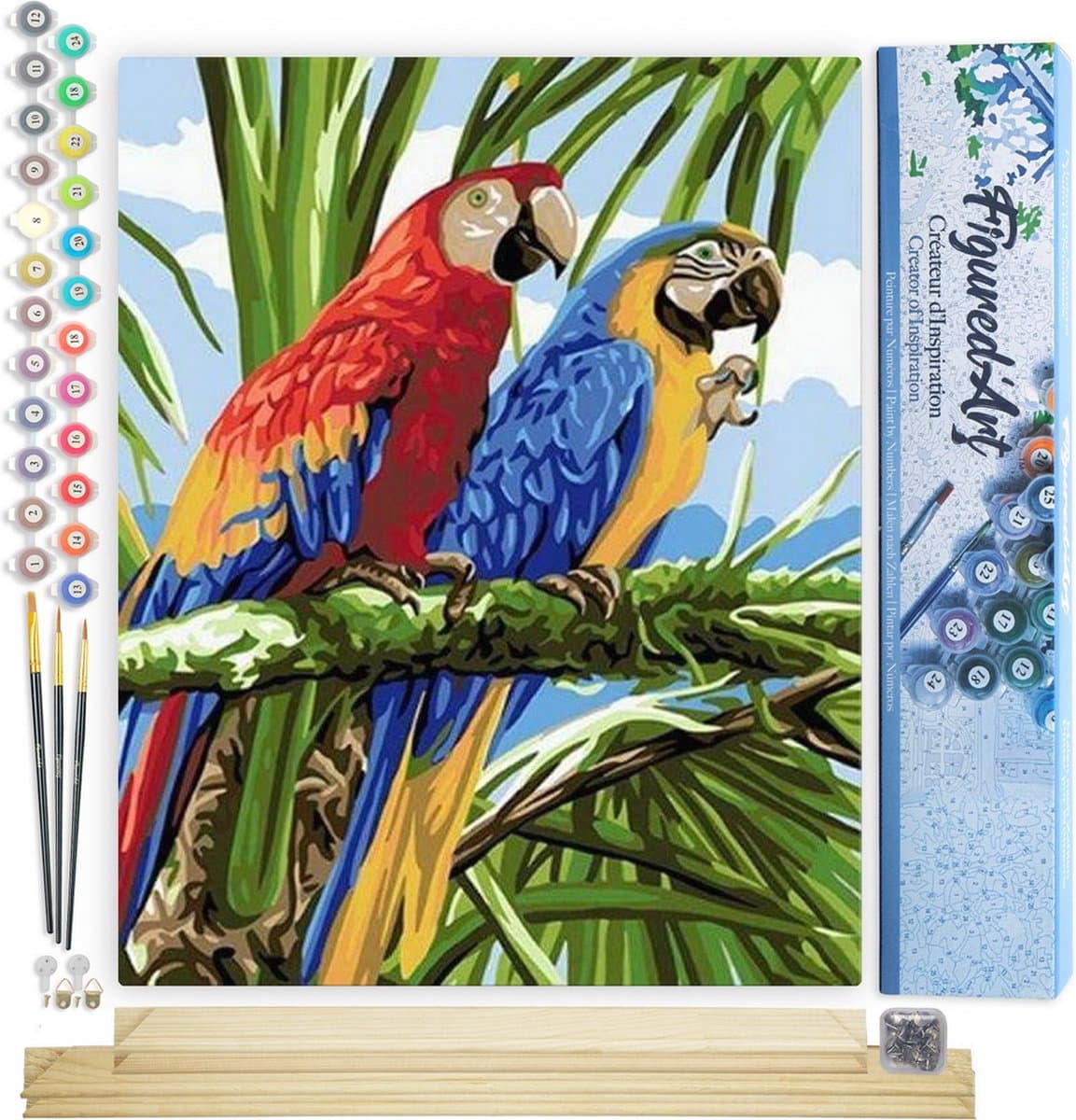 Figured'Art Schilderen op Nummer Volwassenen canvas Papegaaien in de tropen - Handwerk acrylverf Kit DIY Compleet - 40x50cm met DIY houten lijst