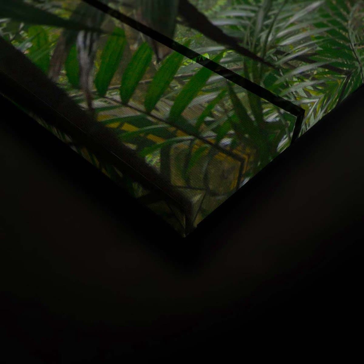 Canvas DD124916 Rainforest1 A. S. Création