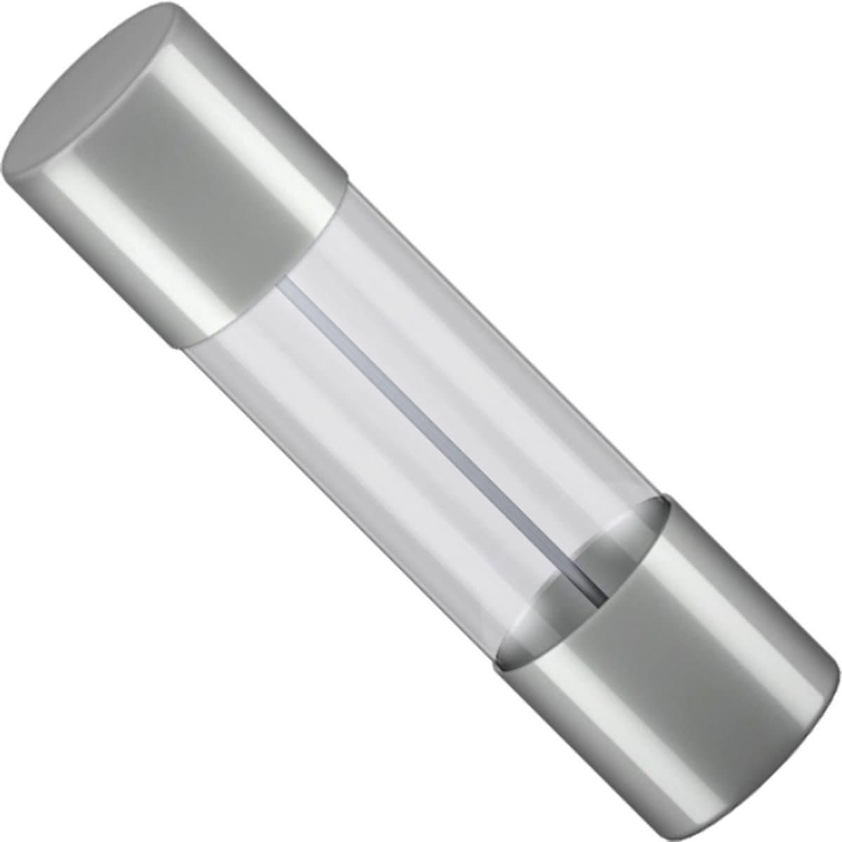Glaszekering - 4 Ampere - 5 x 20mm - Snel - 10 stuks