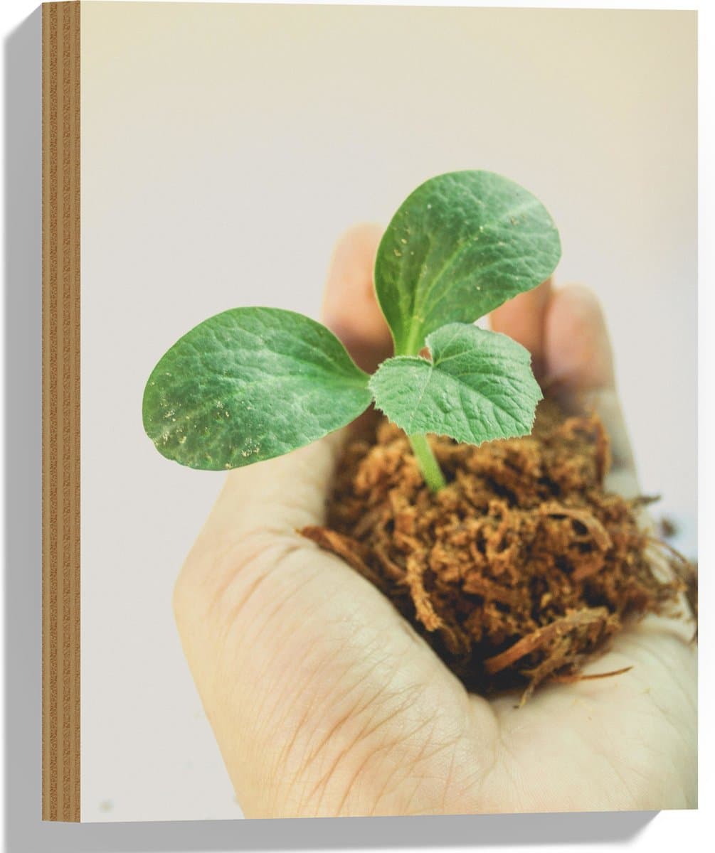 Hout - Plantje - Hand - Wortels - Aarde - Tuinieren - 30x40 cm - 9 mm dik - Foto op Hout (Met Ophangsysteem)