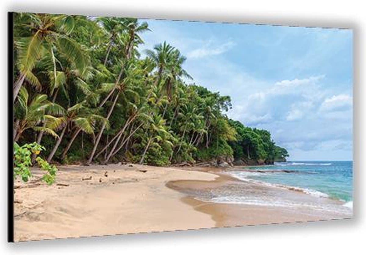 KuijsFotoprint - Schilderij - Strand Met Palmbomen Aan Zee– Dibond;aluminium - Groen - 40 X 60 Cm