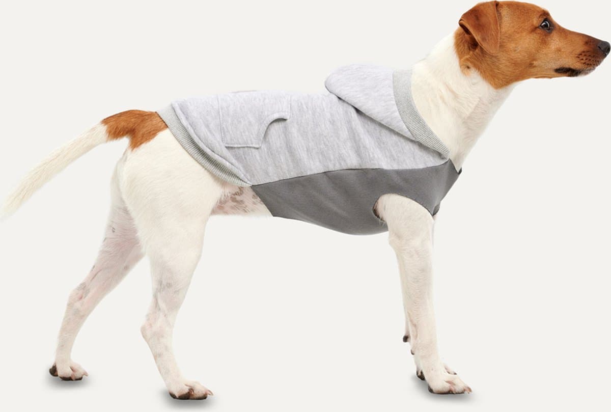 Goo-eez Kangaroo Fleece Hoodie Hond - Zachte Pluche Voering - S - Ruglengte 40 cm - Hondenhoodie - Eenvoudig Aantrekken - Grijs