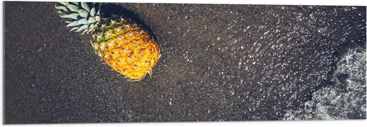 Acrylglas - Ananas op het Strand met Zee - 120x40 cm Foto op Acrylglas (Met Ophangsysteem)
