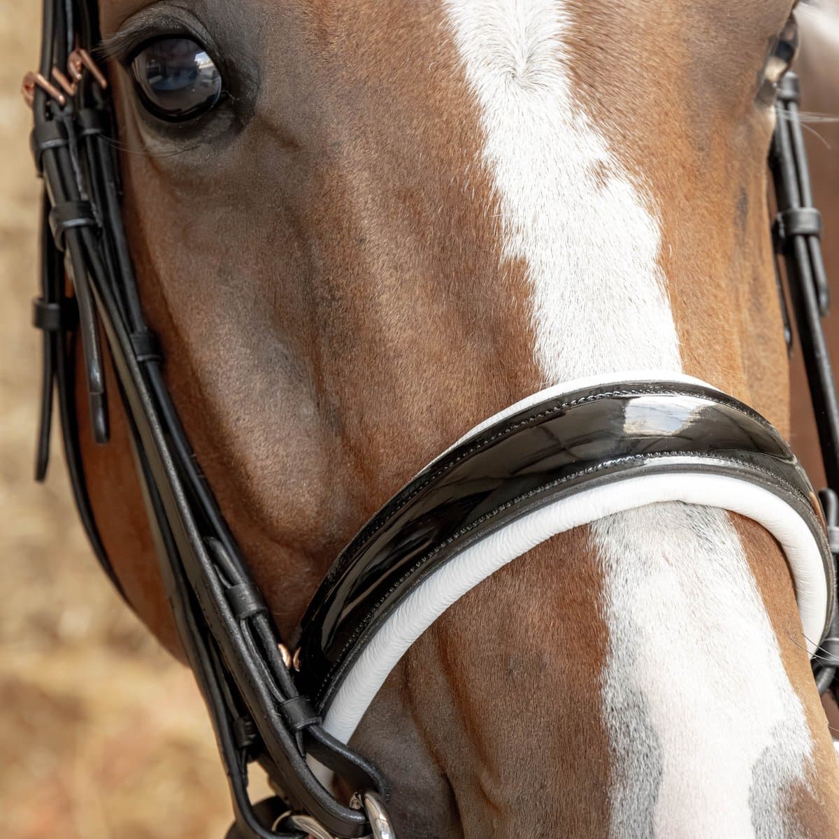 HKM Stang en Trens Hoofdstel Grace-Full - Kwaliteitsleer, Zwart, Met Zachte Padding