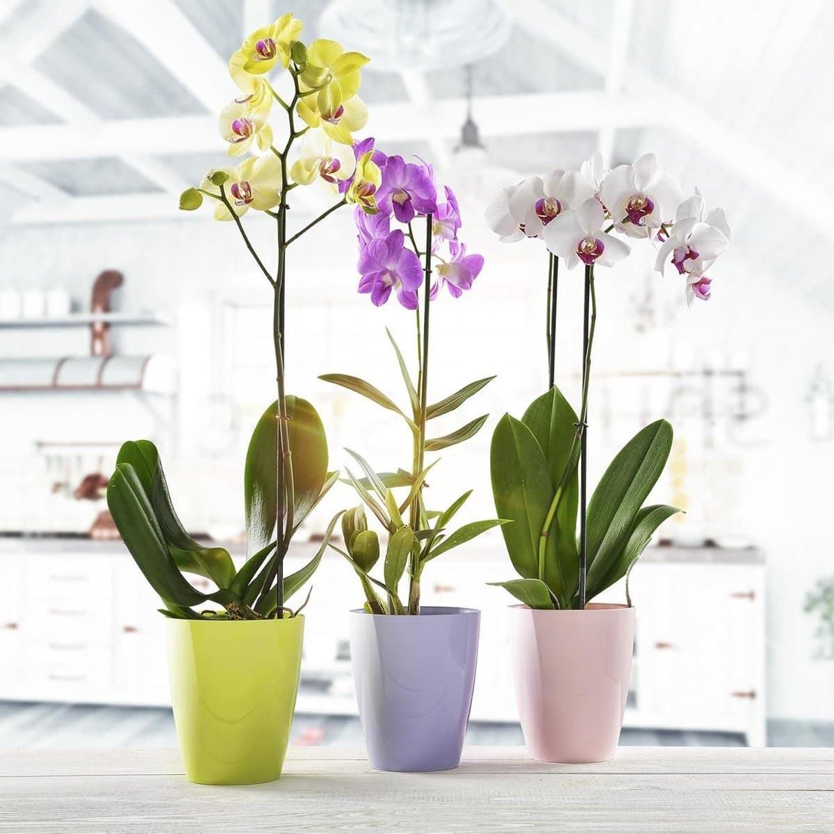 Bloempot - Plantenbak - Binnen en buiten - Verhoogde bodem - 15 cm - Wit
