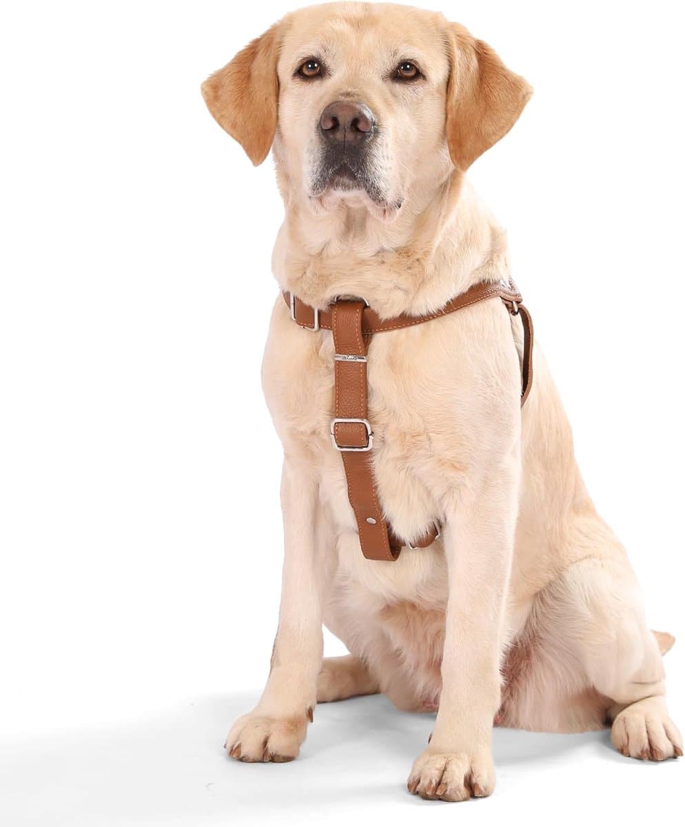 Honden tuigje - Borstharnas - Wandelen met hond - Verstelbaar en zacht - Maat L - Bruin