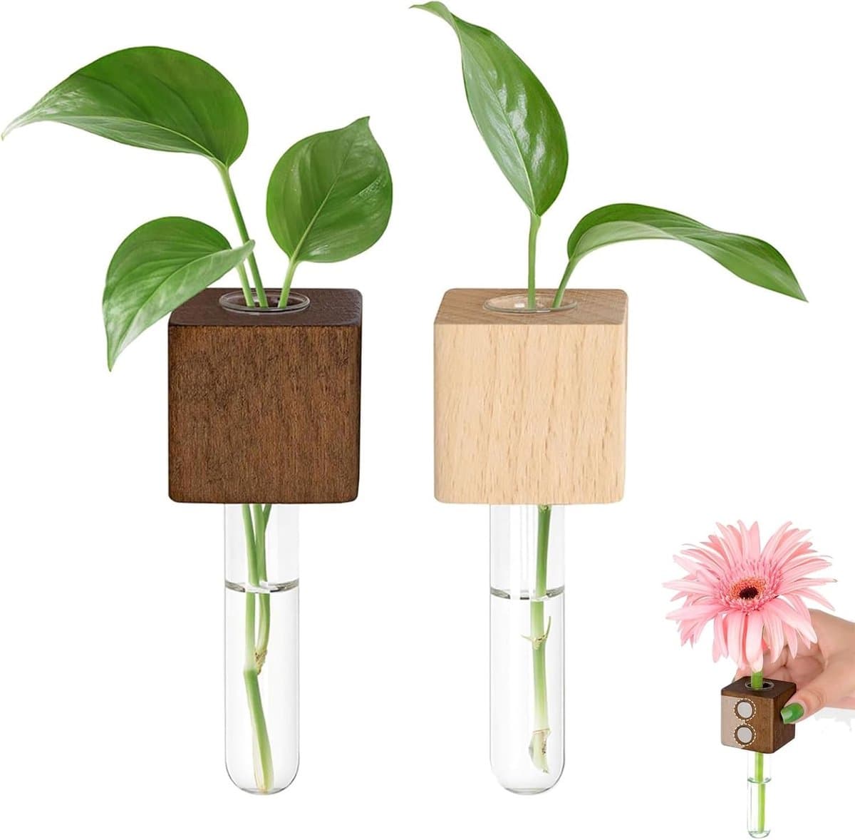 Set van 2 Magnetische Testbuis Vazen voor de Koelkast, Houten Plantenhangers met Glazen Tubes, Hydroponische Groei Station voor Planten