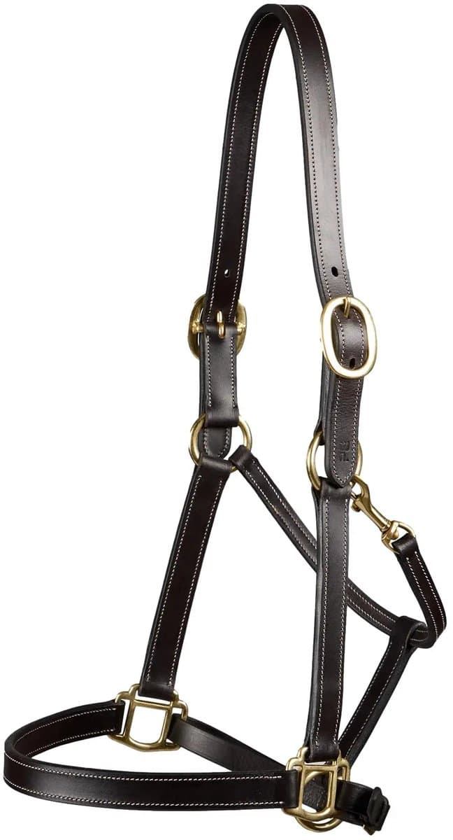 Halster voor paarden Premier Equine