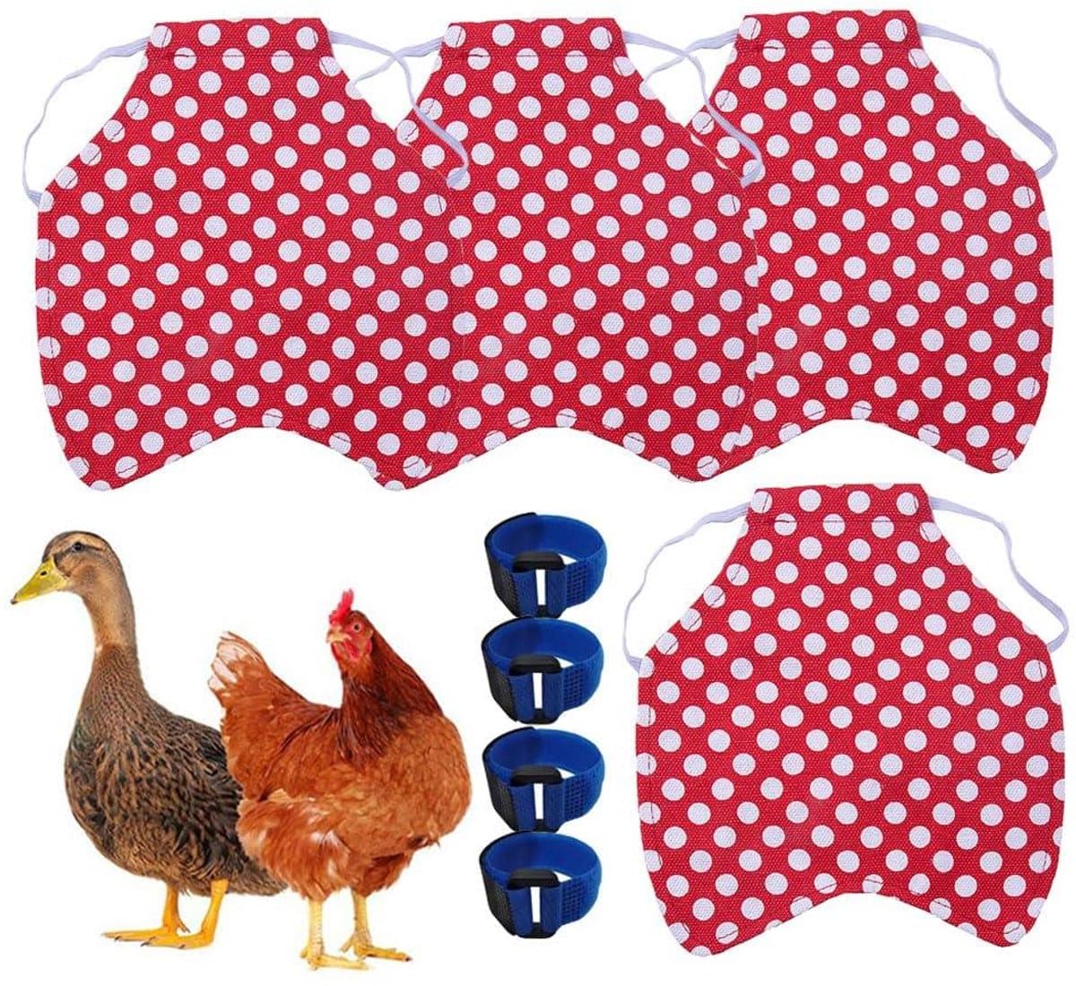 Kippenzadelschort - Kippenharnas Rugbeschermer - Gevogelte Beschermen - Elastische Band - 18 x 19 cm - Rode Stippen