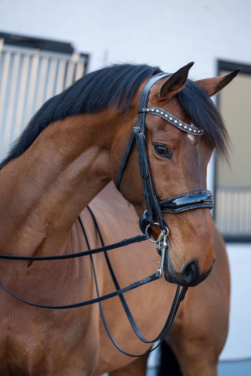 HB SHOWTIME STANG & TRENS HOOFDSTEL ONE IN A MILLION Zwart-zilver