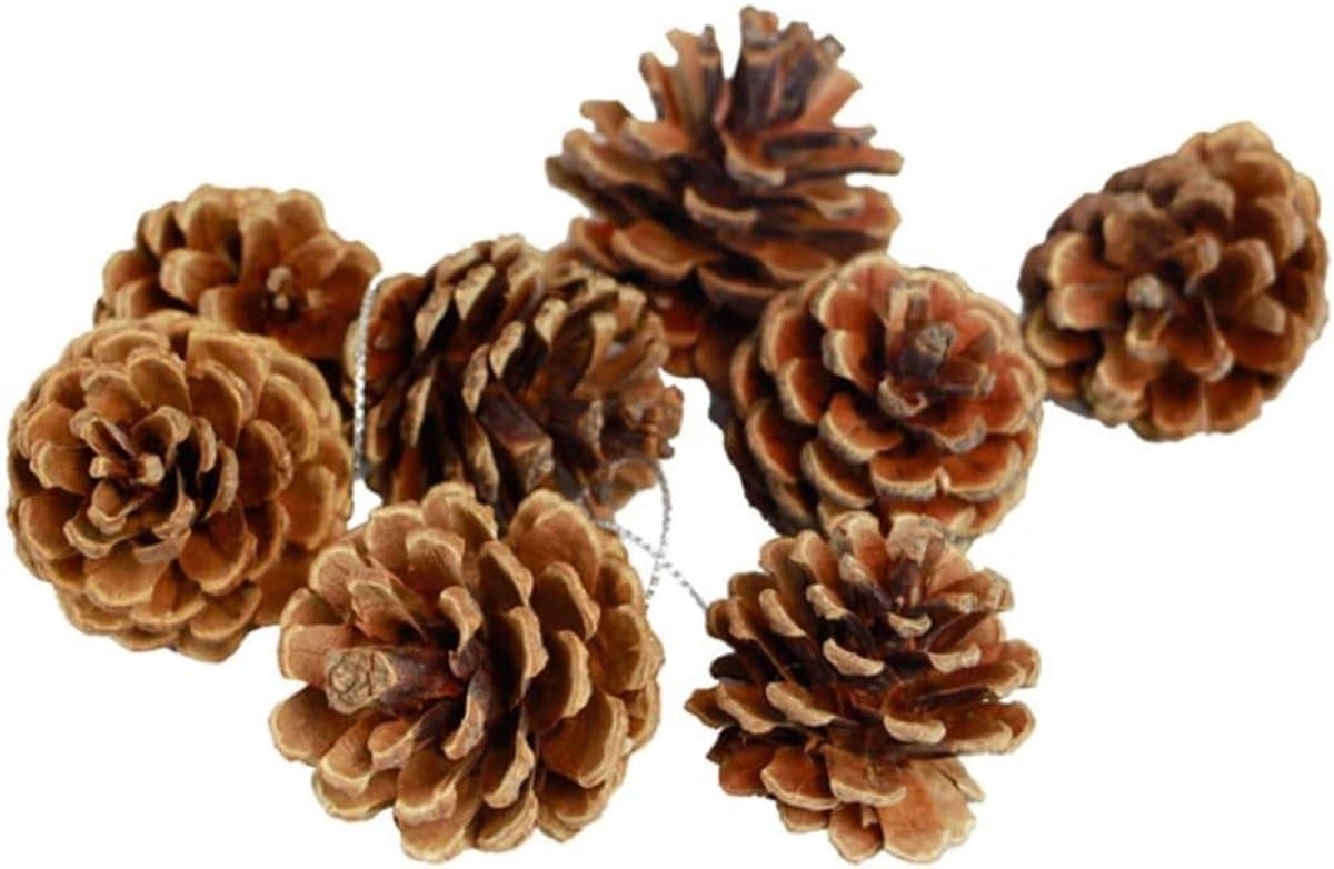 Natuurlijke dennenappels voor feestdecoratie, herfst en winter, kerstboomversiering en vaasvulling, 24 stuks