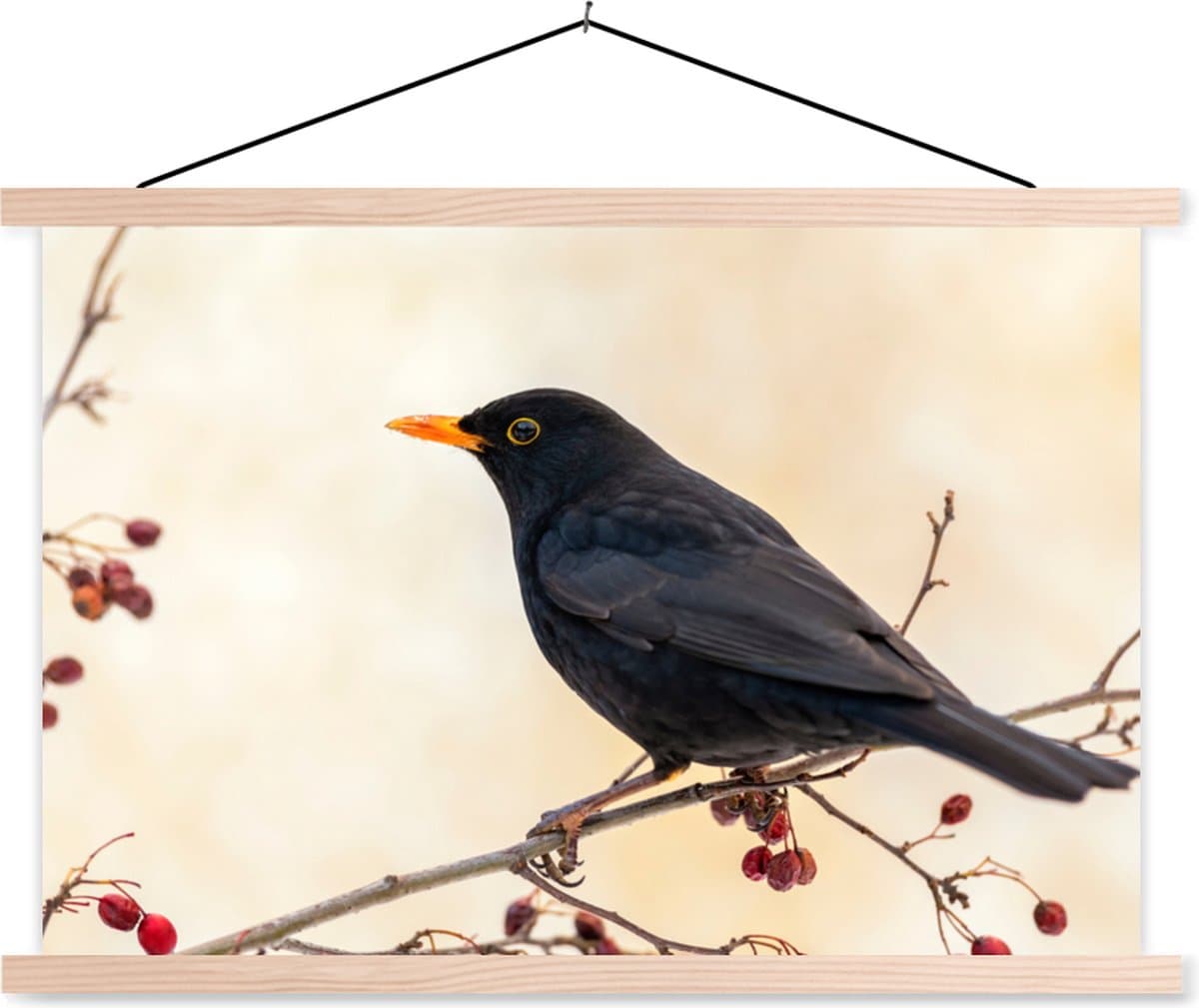 Posterhanger incl. Poster 90x60 cm - Schoolplaat - Merel - Vogel - Takken - Bes - Rood - Textielposter - Blanke latten