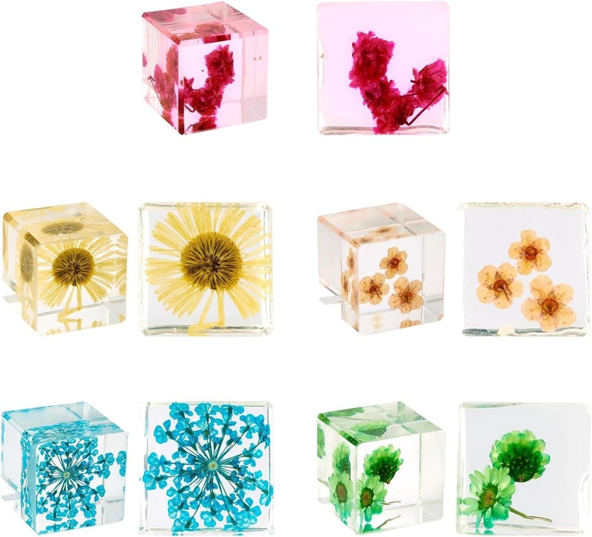 Gedroogde Bloem Presse-papier - Hars Specimen Kubus - Bureau Decoratie - Transparant Hars Materiaal - 5 Stuks Set - Multicolor