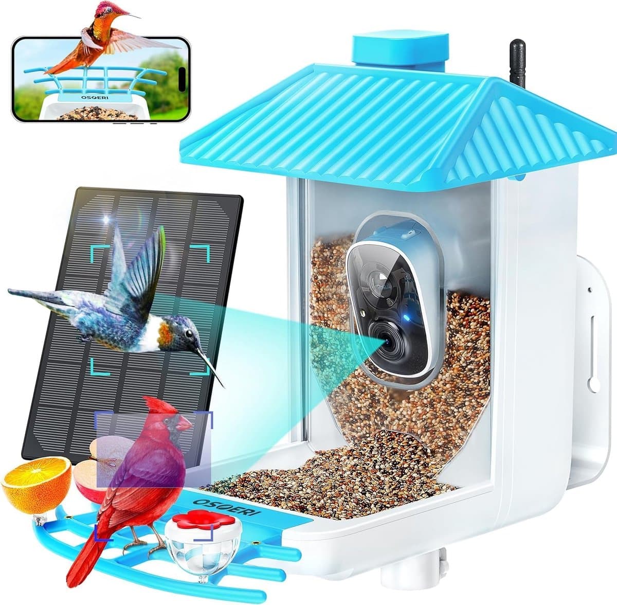 Slimme Vogelvoeder - Vogelkijker Camera - Vogels Observeren - AI Herkenning - 1.3 Liter 1080P - Blauw Wit