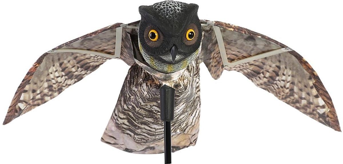 Allecto - Uil Decoy - Effectieve Vogelafschrikker - Lifelike Uil voor Tuin en Buiten - Natuurlijke Materialen - Vogelbestrijding - Schrikmiddel voo...