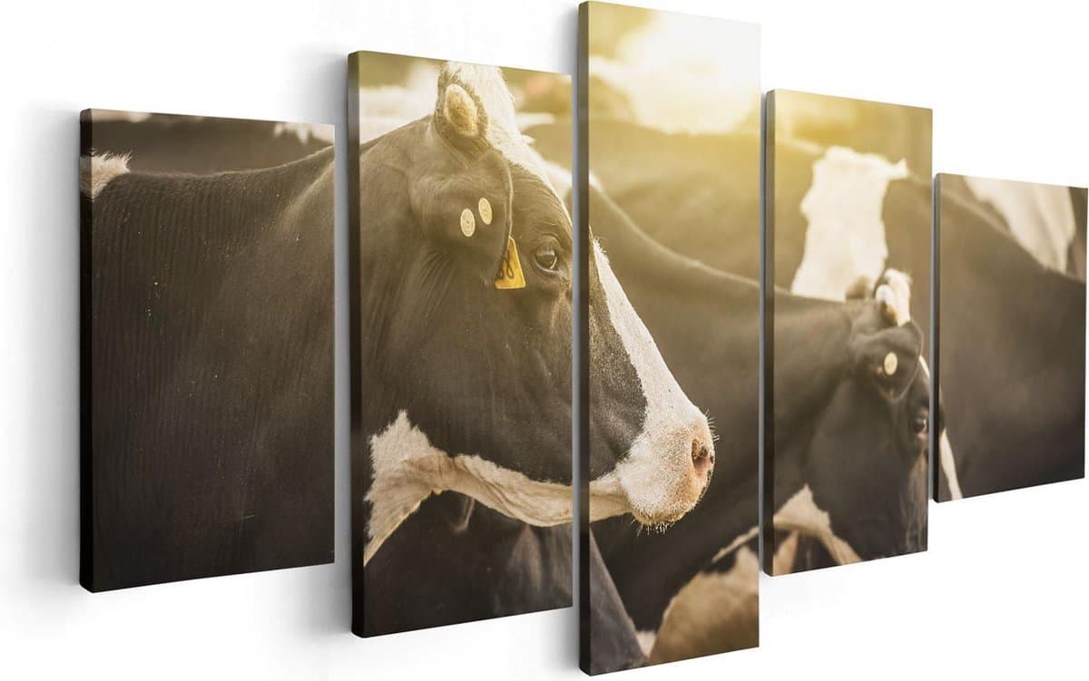 Artaza Canvas Schilderij Vijfluik Zwart Wit Koeien In De Wei Met Zon - 100x50 - Foto Op Canvas - Canvas Print