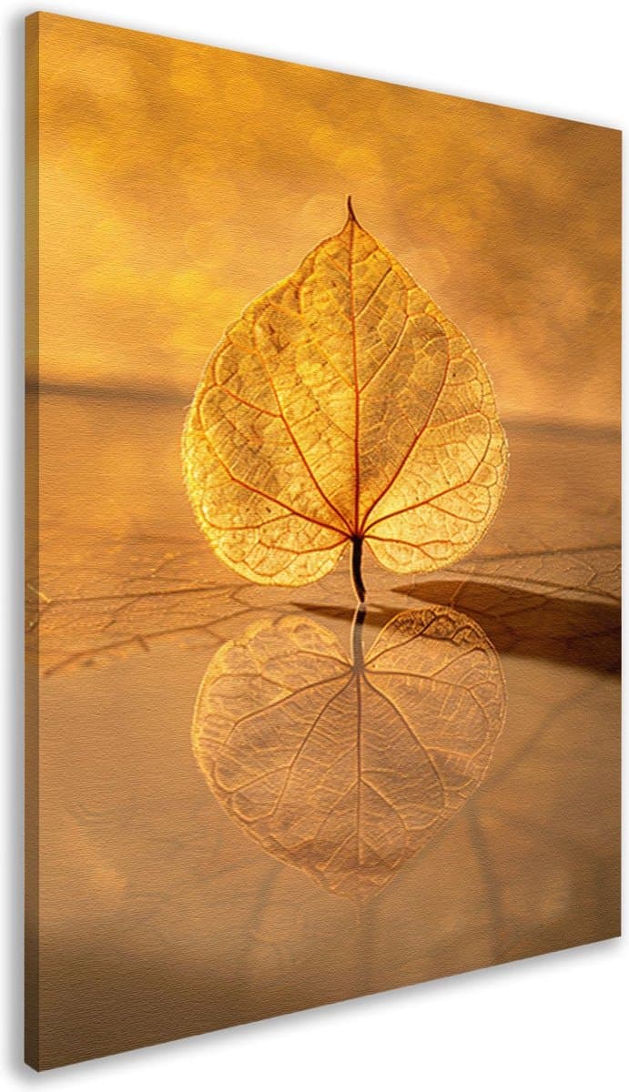 Blad schilderij - Natuur schilderijen - Canvas schilderijen Reflectie - Wanddecoratie klassiek - Canvas schilderij woonkamer - Kunstwerken schilderij canvas 80x120 cm