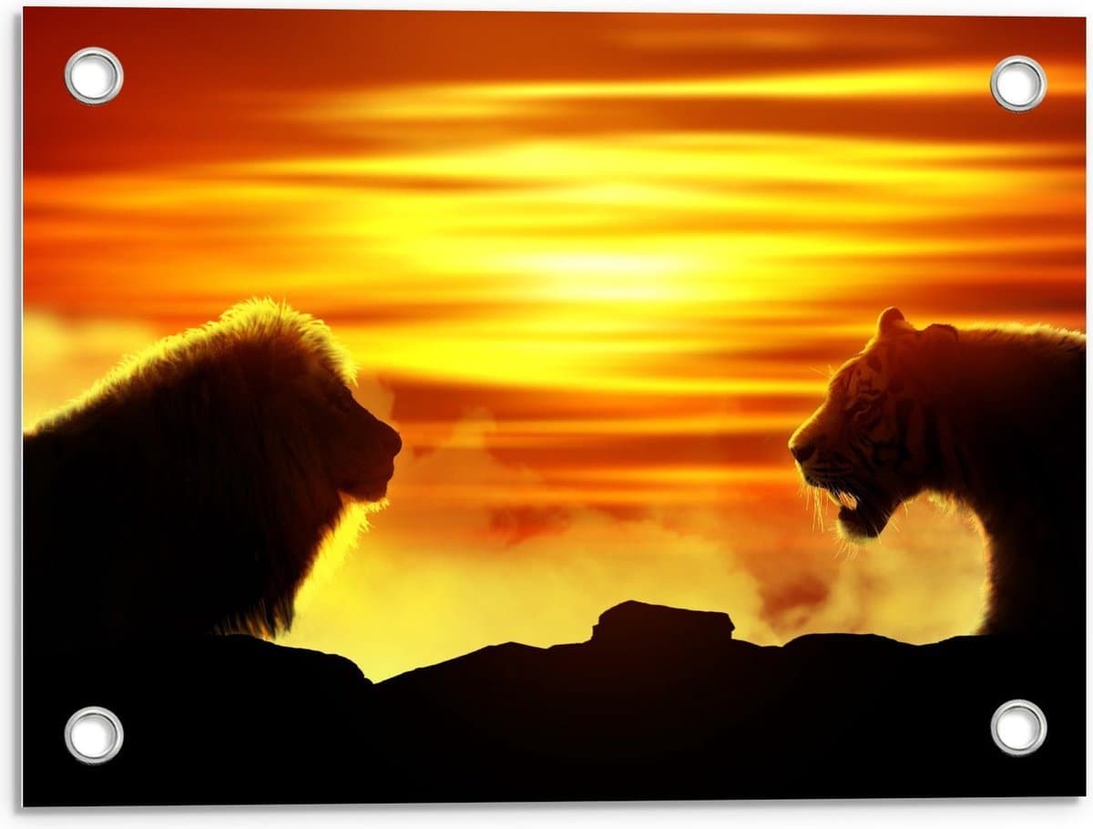 Tuinposter – Silhouet van Tijger tegenover Leeuw - 40x30cm Foto op Tuinposter (wanddecoratie voor buiten en binnen)