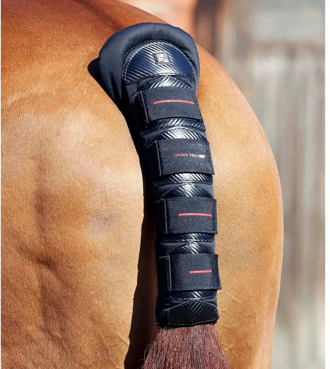 Antislip paardenstaartbeschermer Premier Equine Carbon Tech