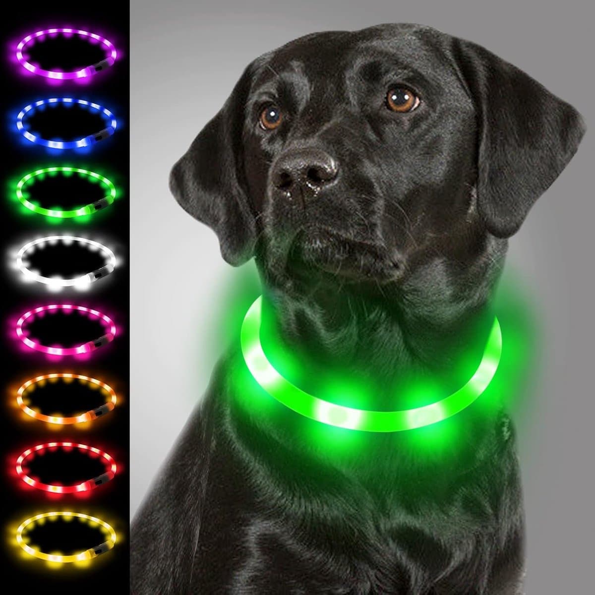 LED Halsband Hond - Oplichtende Riem - Veilig Uitlaten - Oplaadbaar Via USB-C - Verstelbaar 20-70cm - Oranje