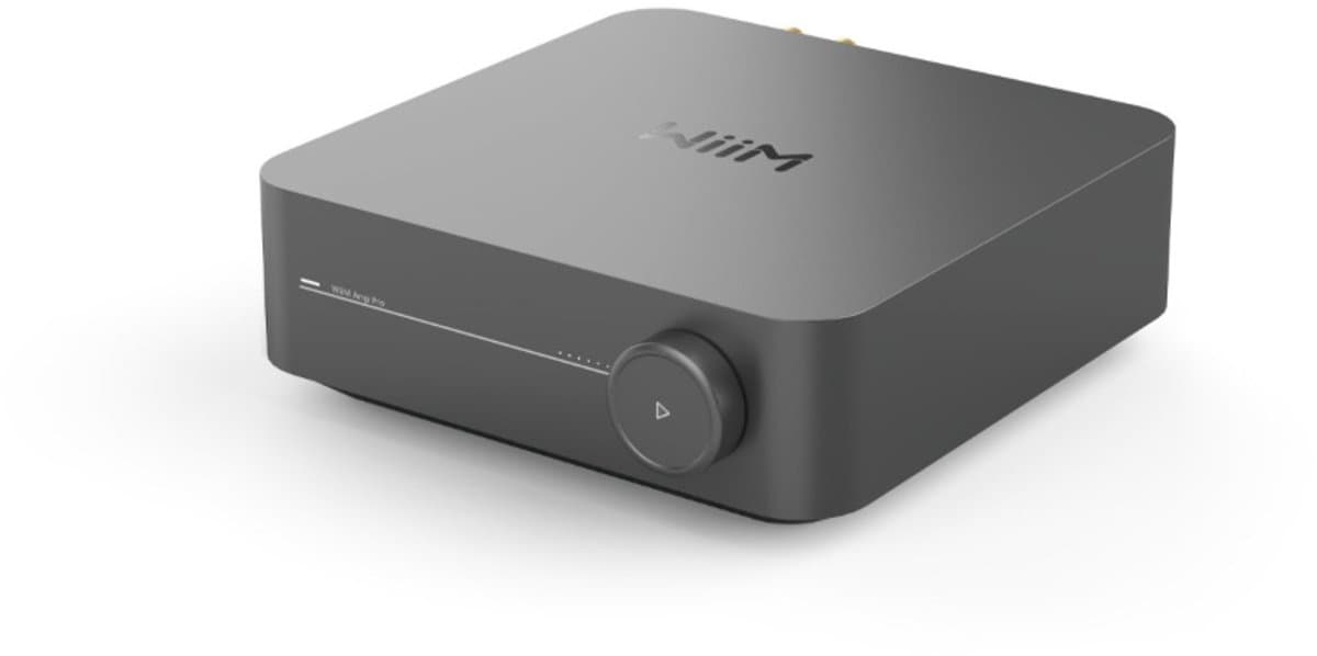 WiiM Amp Pro Grijs