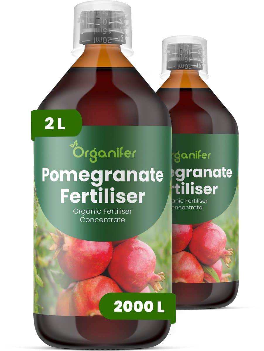 Vloeibare Meststof Voor Granaatappel 2X1 L Voor 2000 L - Npk 2-1-8 - Ondersteunt Krachtige Bloei En Betrouwbare Vruchtzetting - Verbetert Stevigheid - Kleur En Interne Kwaliteit Van De Vruchten - Verbetert De Vitaliteit En Productiviteit - Organifer