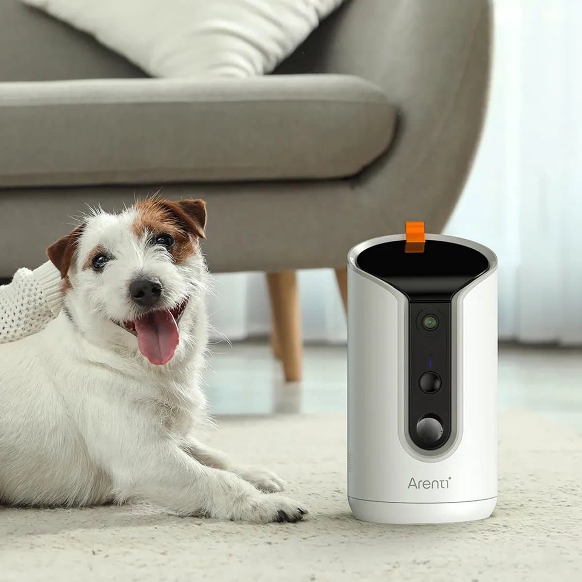 Arenti Petcam1T Automatische Wifi Snackdispenser Kat en Hond – Petfeeder - Voerautomaat met 3MP Camera - Nachtzicht - Geluidsdetectie - Dual band Wifi - Two-Way Audio – Eenvoudige Montage Met 64GB SD Kaart