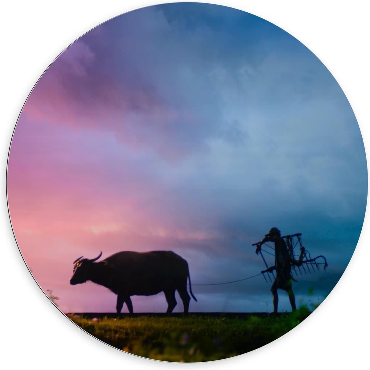 Dibond Wandcirkel - Boer achter Oss p Landbouwgrond - 100x100cm Foto op Aluminium Wandcirkel (met ophangsysteem)