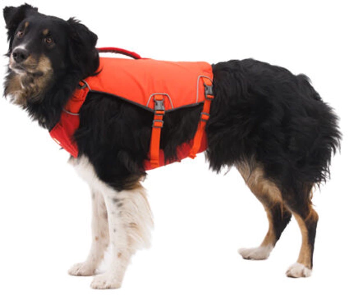 Ruffwear Confluence Dog Life Jacket - Tangelo Orange - XXS
