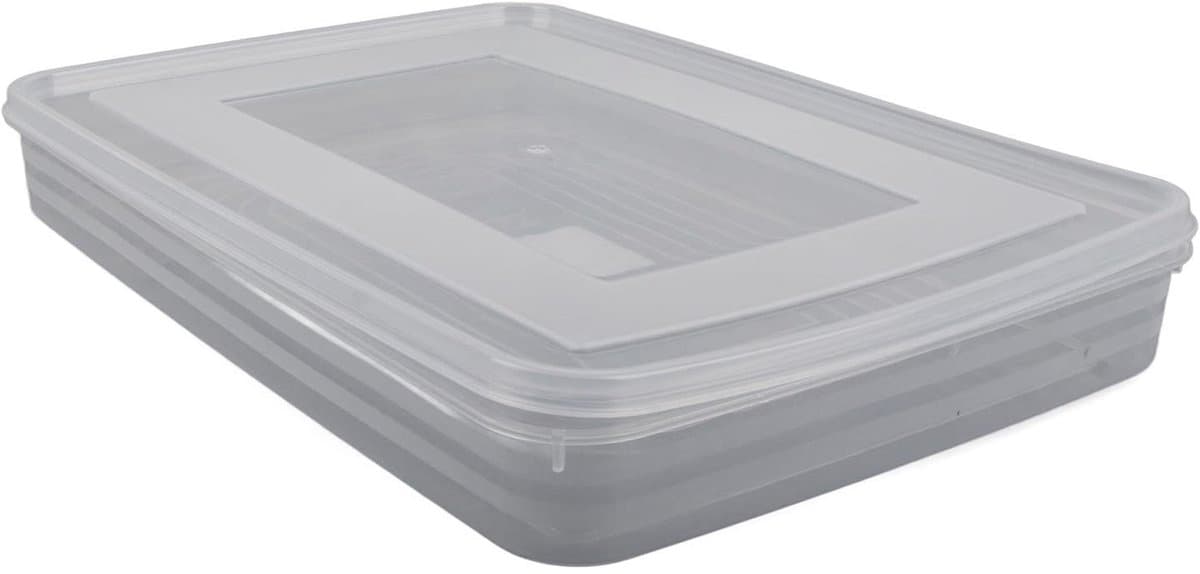 Dailygoods- Voedselopslag Container - Transparante Opbergdoos - Koelkast Organizer - Dumpling Box - Grote Capaciteit - Luchtste Structuur