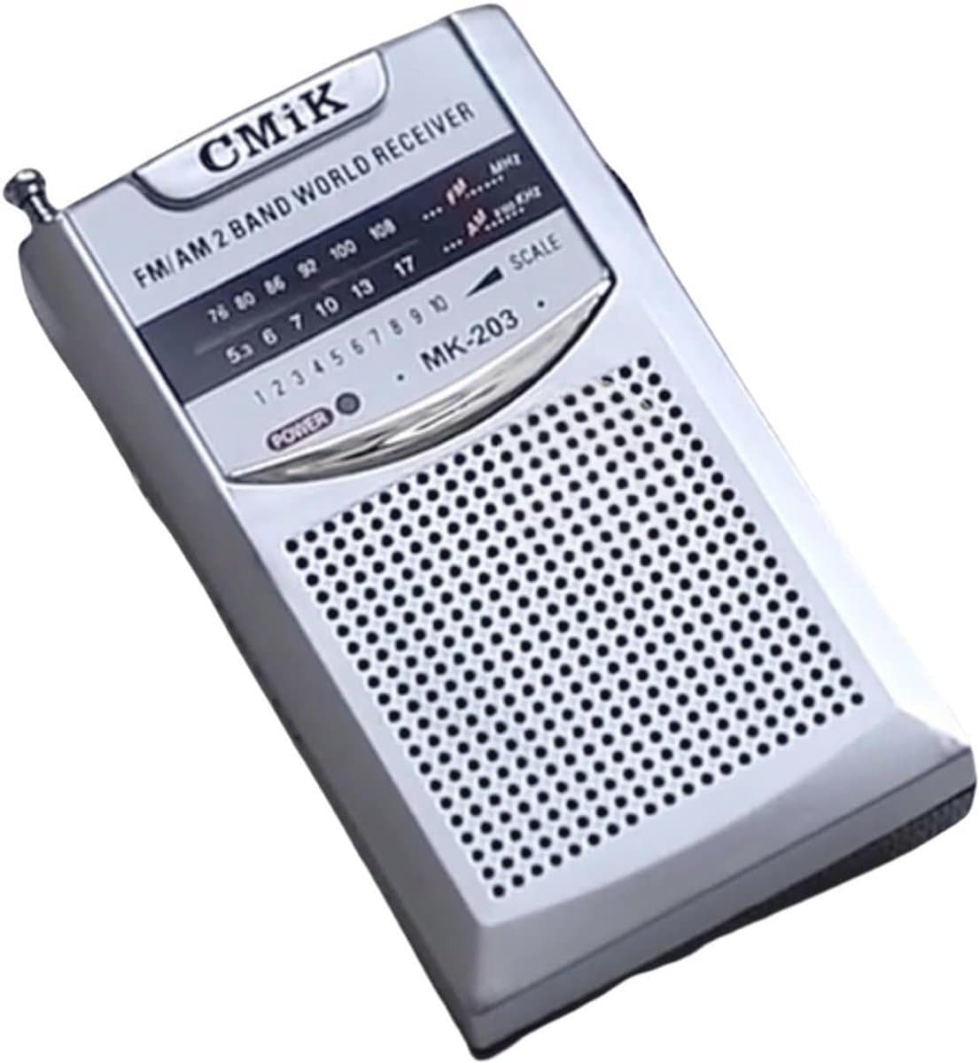 Draagbare FM Radio met Sterke Luidspreker voor Binnen en Buiten