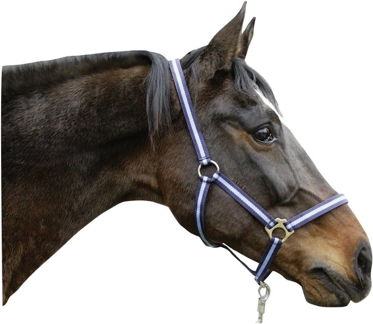 Verstelbare Nylon Halster voor Pony, Shetty en Paard in Diverse Kleuren