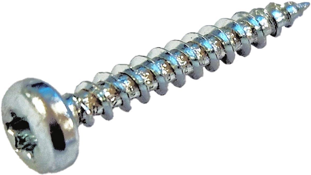 QZ Spaanplaatschroeven panhead 4.0 x 40 Torx - 20 Roestvast Staal (RVS) A2