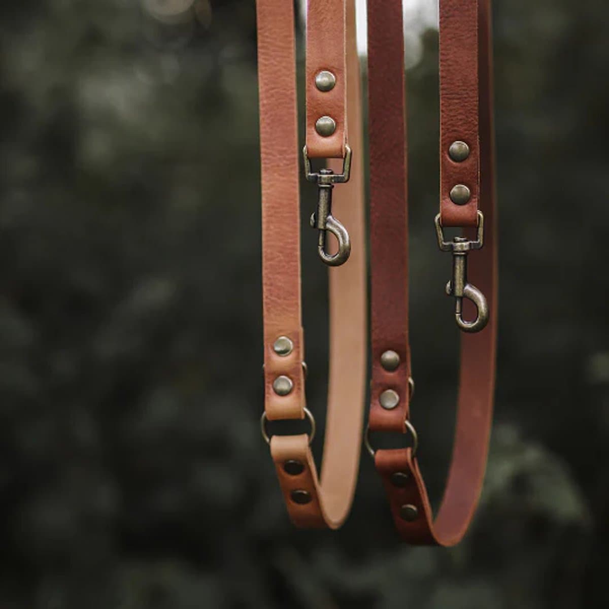 Cooper & Quint Switch Verstelbare Leren Hondenriem - Camel - 1.5cm - Oud Messing