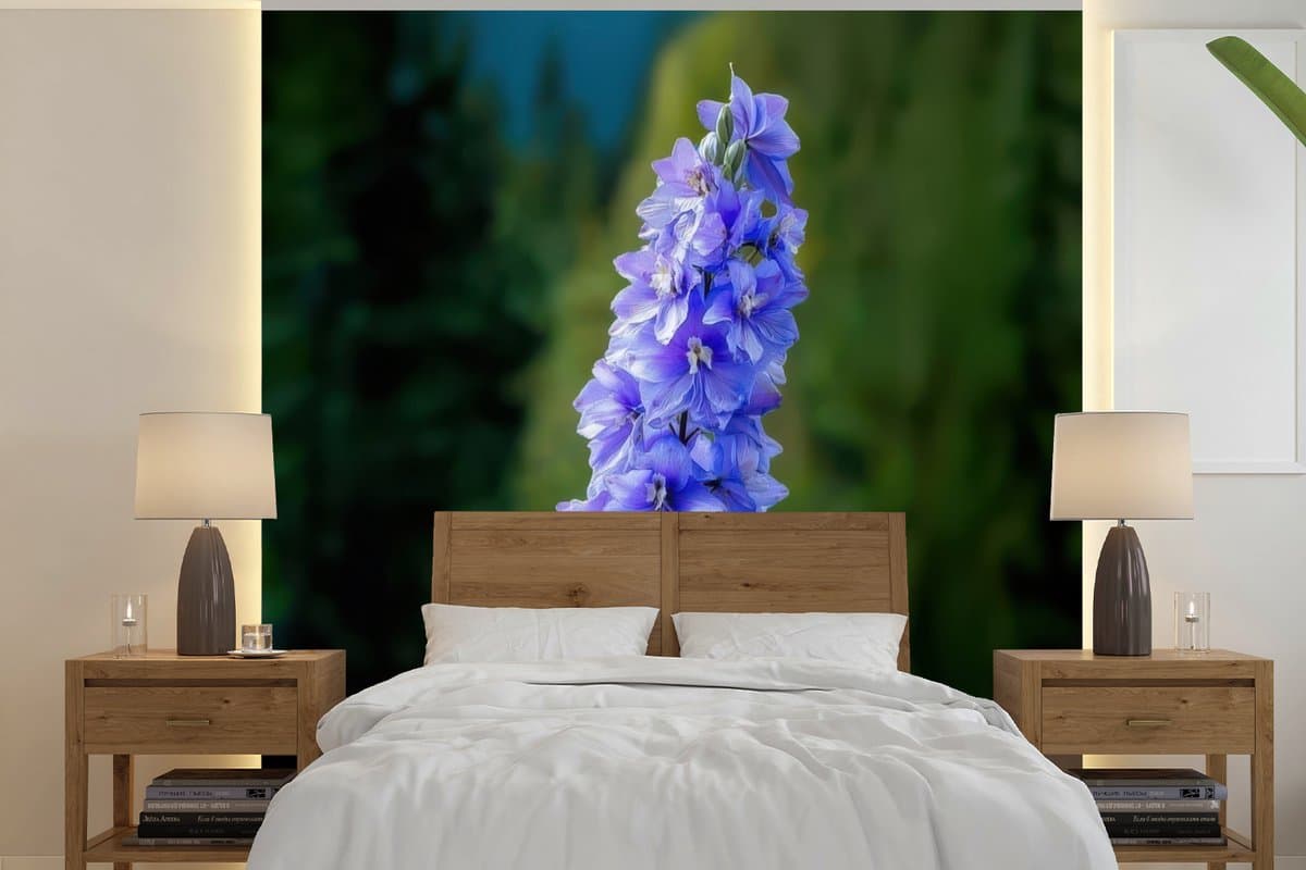 Behang - Fotobehang Bloemen - Blauw - Dennenboom - Breedte 280 cm x hoogte 280 cm