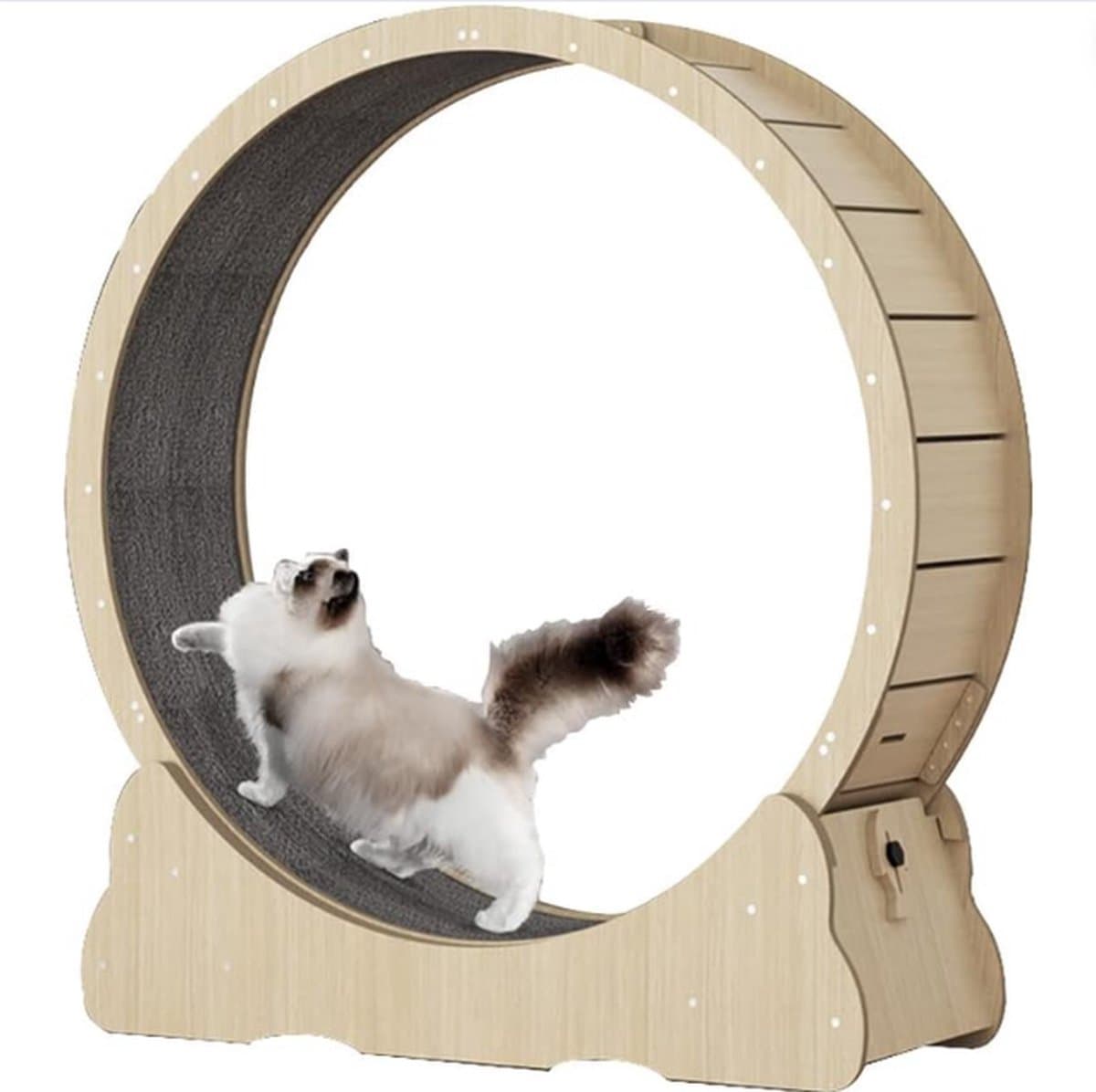 Katten Loopwiel - Looprad Kat Realistische Training - Cat Wheel Met Comfortabel Loopvlak - Speelgoed voor Dieren - S