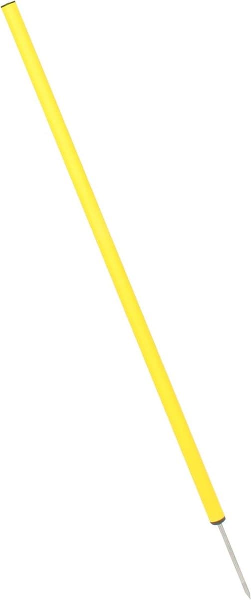 Slalomstangen - Trainingsstokken - Behendigheidstraining - Metalen punt - 100 cm - Blauw