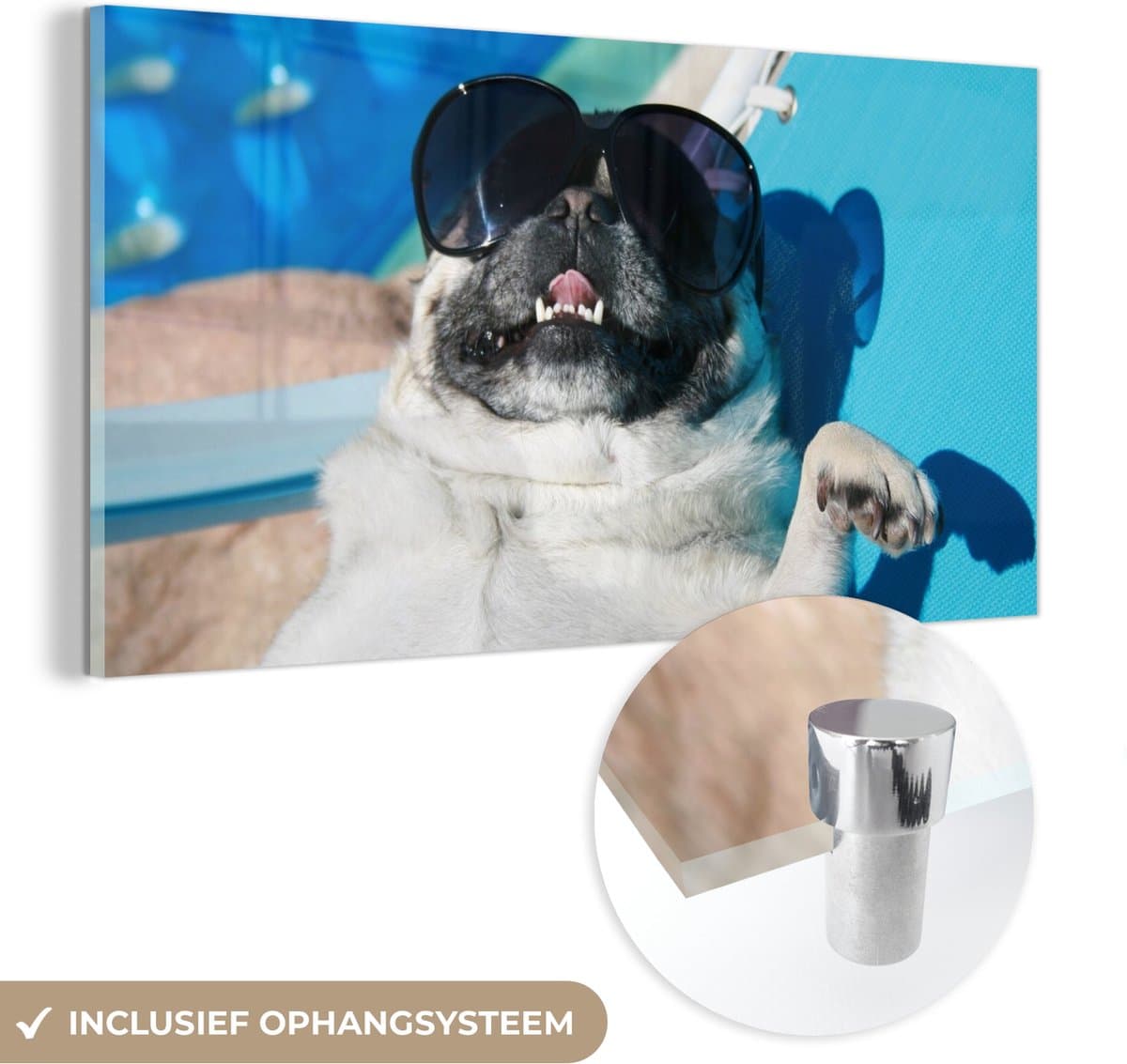 ® Glasschilderij 120x60 cm - Schilderij acrylglas - Hond - Grappig - Zonnebril - Kinderen - Jongens - Meisjes - Kindje - Foto op glas - Muurdecoratie woonkamer - Wanddecoratie slaapkamer - Schilderijen