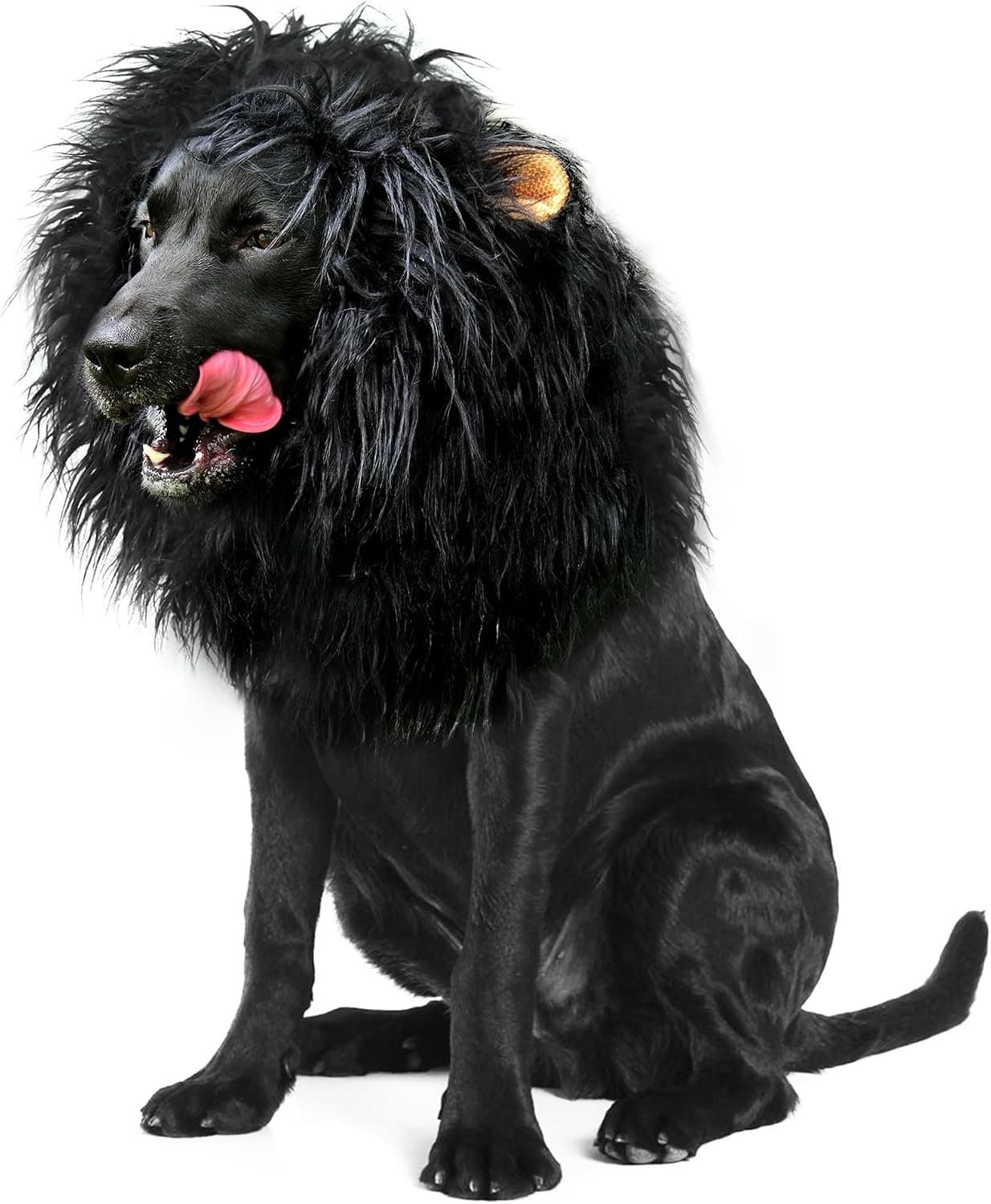 Onmygogo Lion Mane Wig for Dogs with Ears, Funny Pet Costumes for Halloween Christmas - ShopVlot