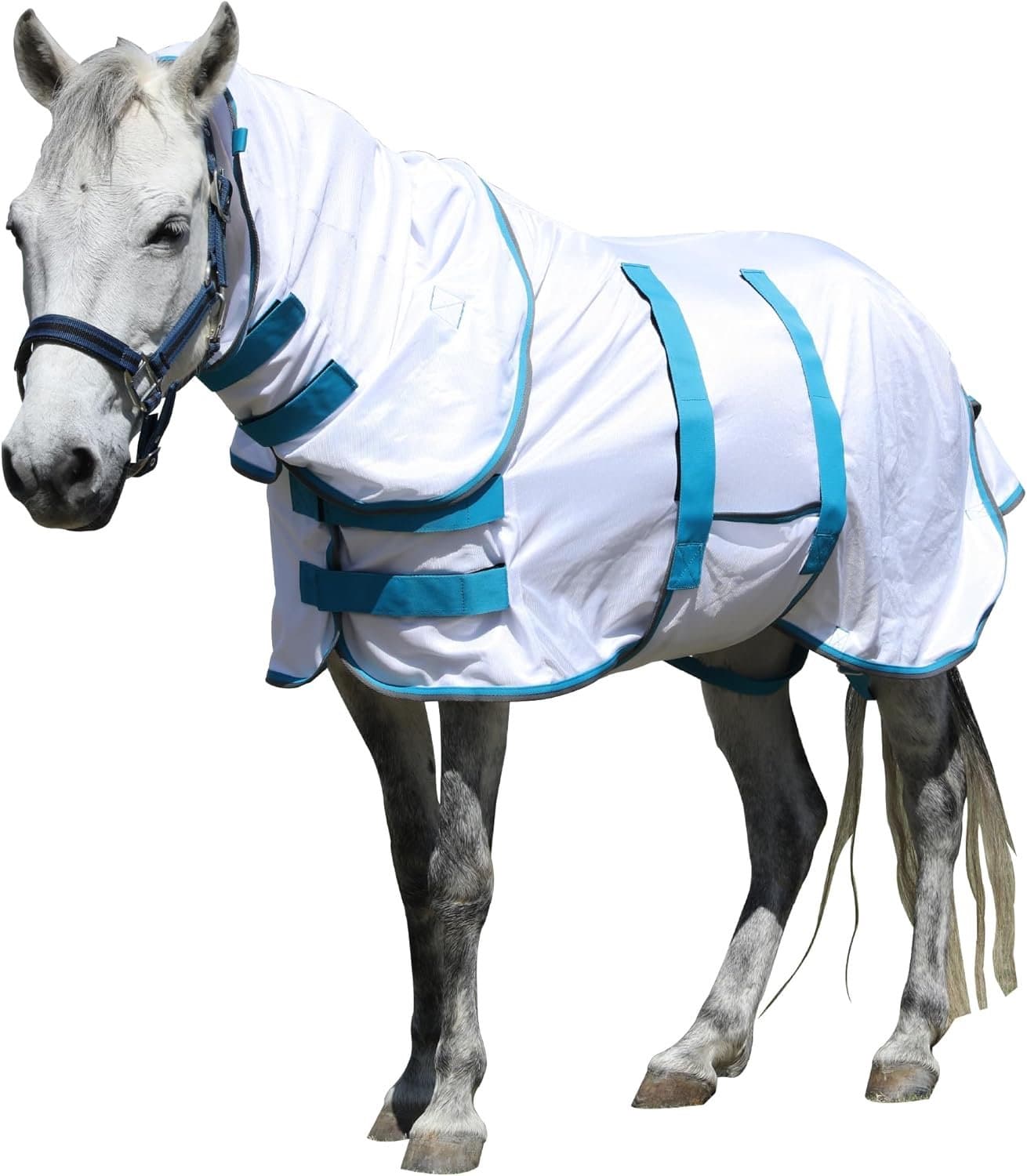 fly blanket pony - ShopVlot
