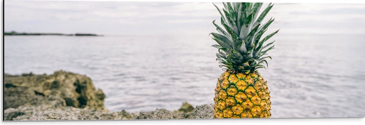 Dibond - Ananas - Rotsen - Zee - Golven - 90x30 cm Foto op Aluminium (Met Ophangsysteem)