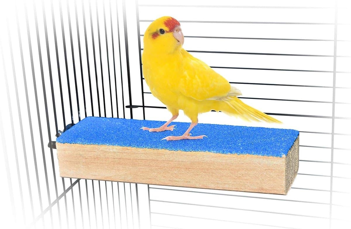 Vogelkooi Baars Standaard - Slijpplatform Vogel - Vogel Vermaken - Natuurlijke Materialen - 6 Inch Lengte - Gekleurd