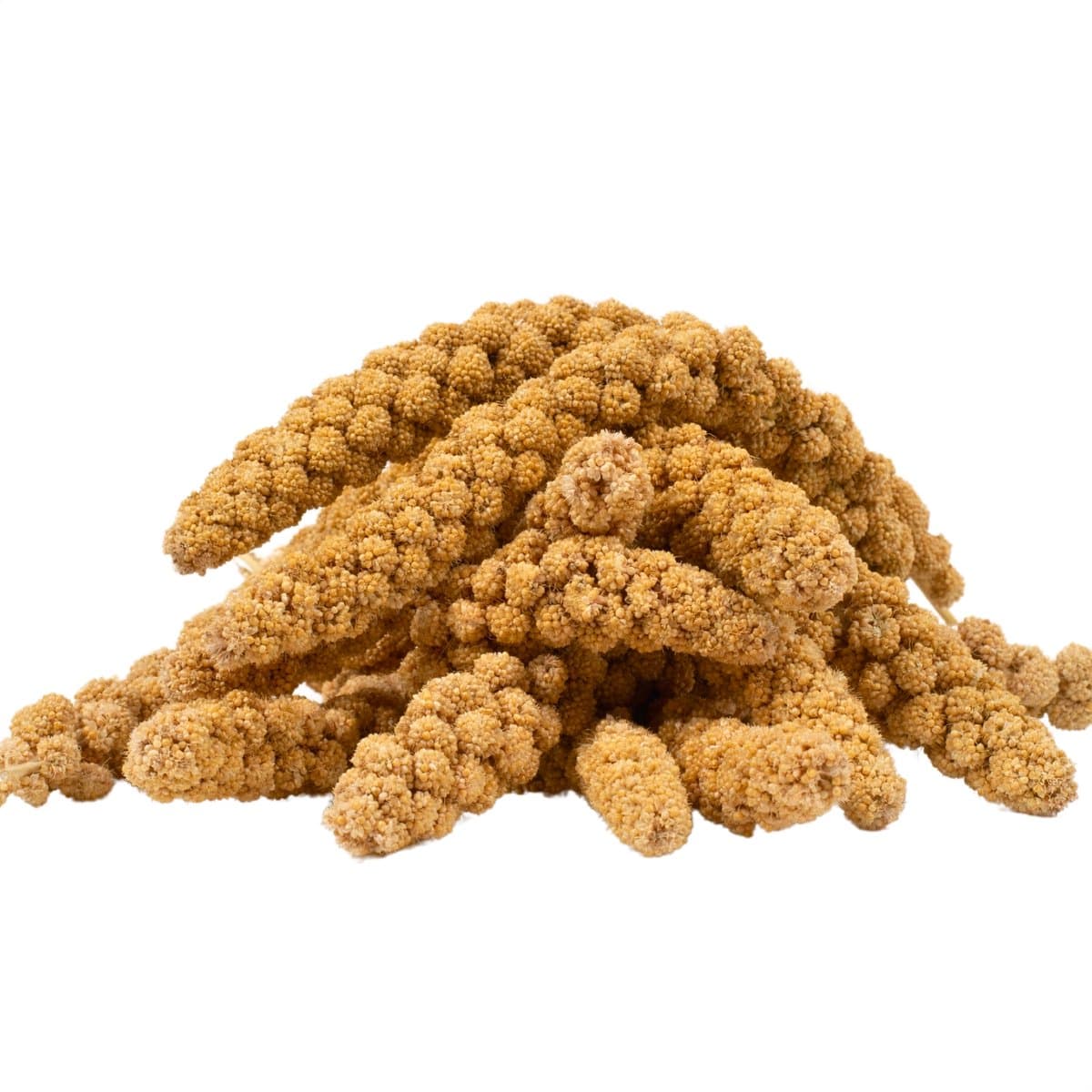 3 kg Lyra Pet® Vossenstaartgierst geel