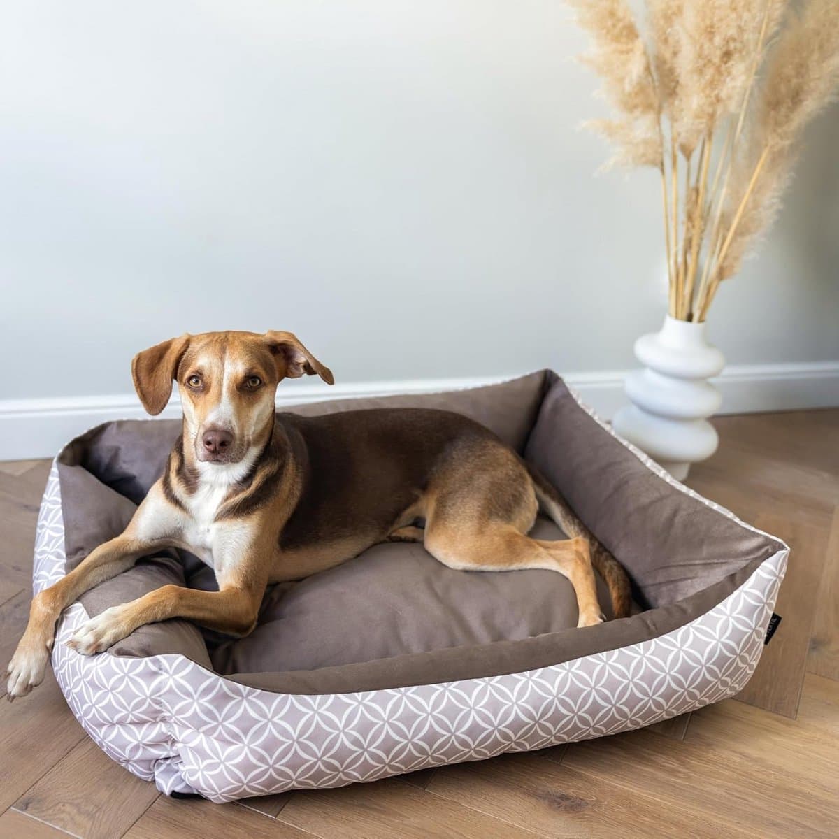 Verwijderbare & Wasbare Hondenschoot - Medium Knuffelbed voor Honden