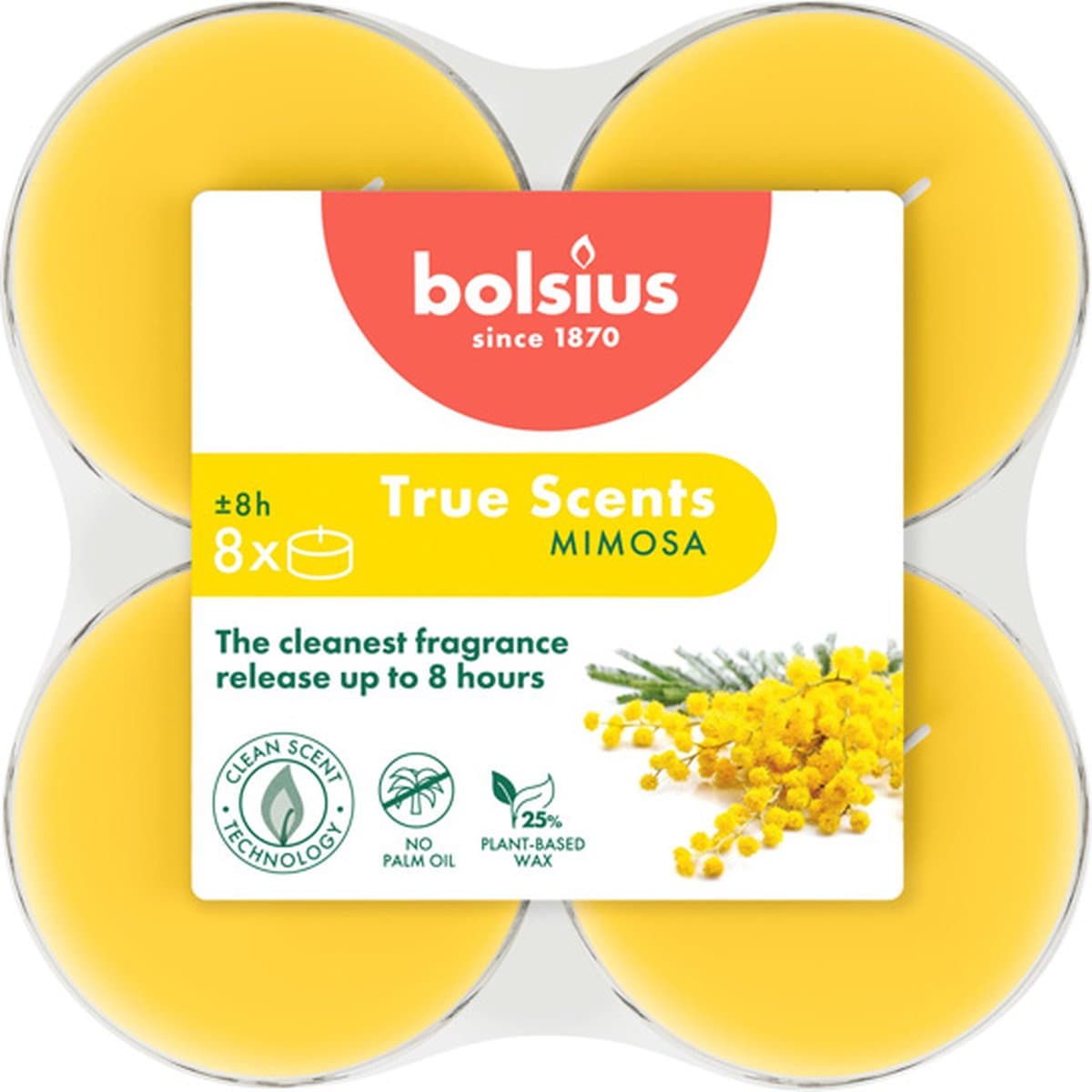 48 stuks Bolsius mimosa maxi geurtheelichtjes (8 uur) clear cups True Scents