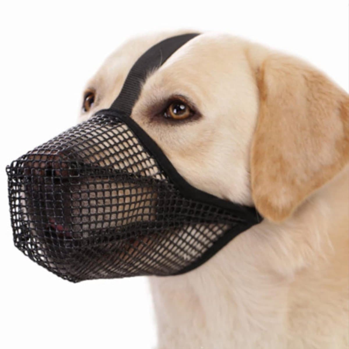 Allecto - Muilkorf voor Honden - Verstelbare Hondensnuit - Ademend en Comfortabel - XL - Mesh Hondensnuit - Geschikt voor Kleine Medium Grote Honde...