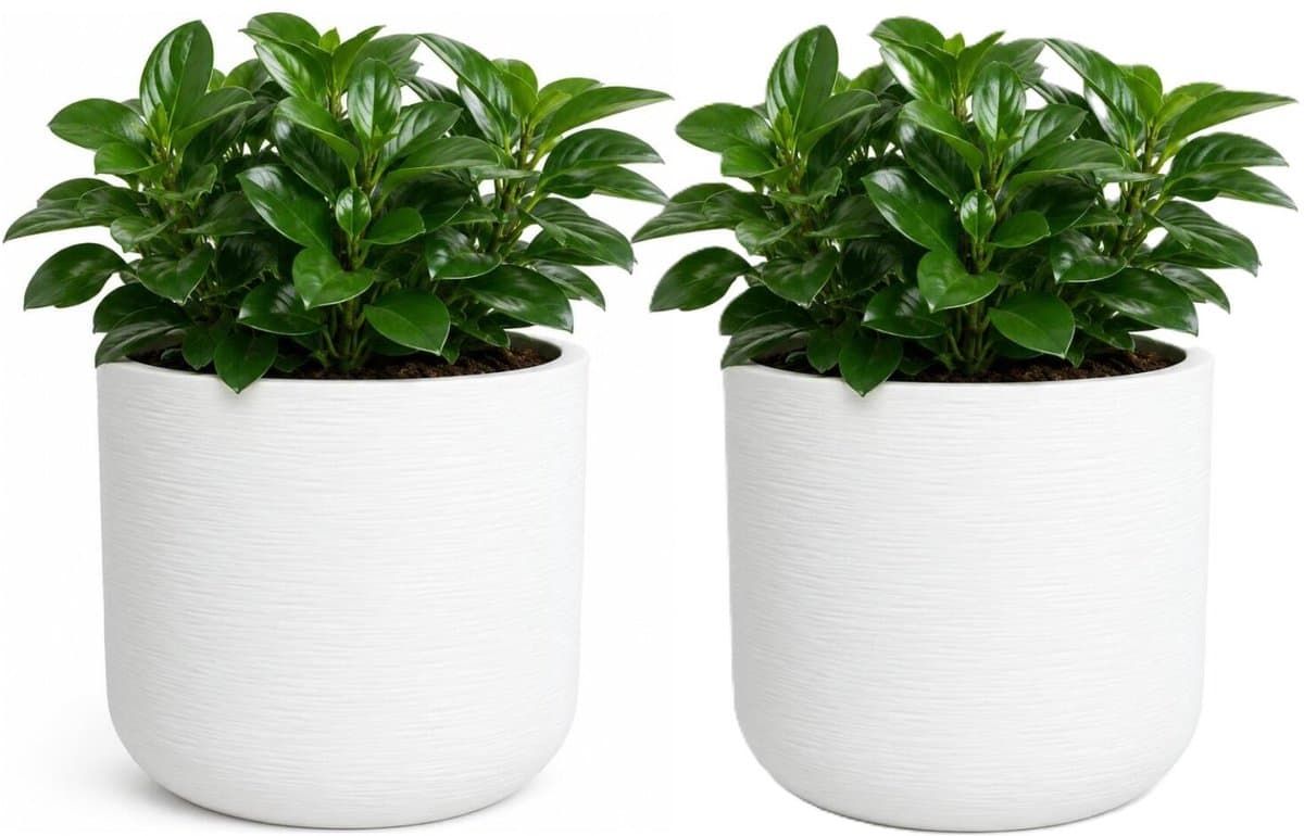EDA Bloempot / plantenpot Graphit - 2x - rond - kunststof - creme wit - D39 x H37 cm - binnen en buiten