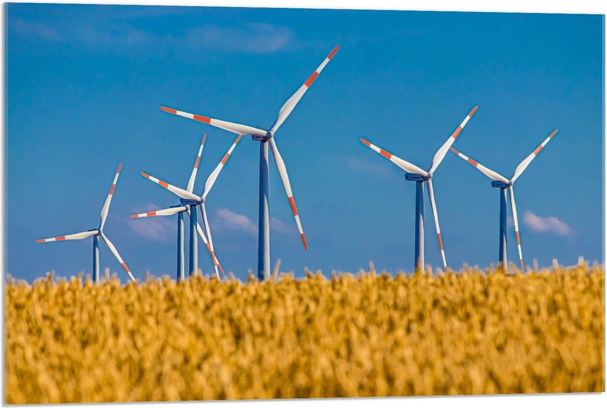 Acrylglas - Windmolens in een Granenveld - 90x60cm Foto op Acrylglas (Met Ophangsysteem)