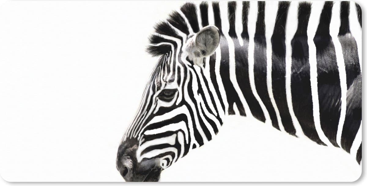 Muismat XXL 120x60 cm - Bureau onderlegger - Bureau mat Zebra - Dieren - Wit - Bureaumat - Gaming mousepad xl - Bureaulegger groot - Computer deskmat